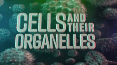 Science - Cells and Organelles-video