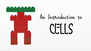 KS3 - An Introduction to Cells