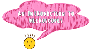 KS3 - An Introduction to Microscopes