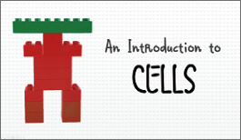 KS3 - An Introduction to Cells-image