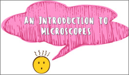 KS3 - An Introduction to Microscopes-image
