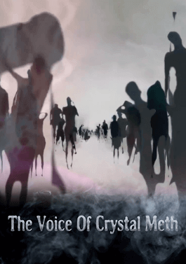 The Voice of Crystal Meth-image